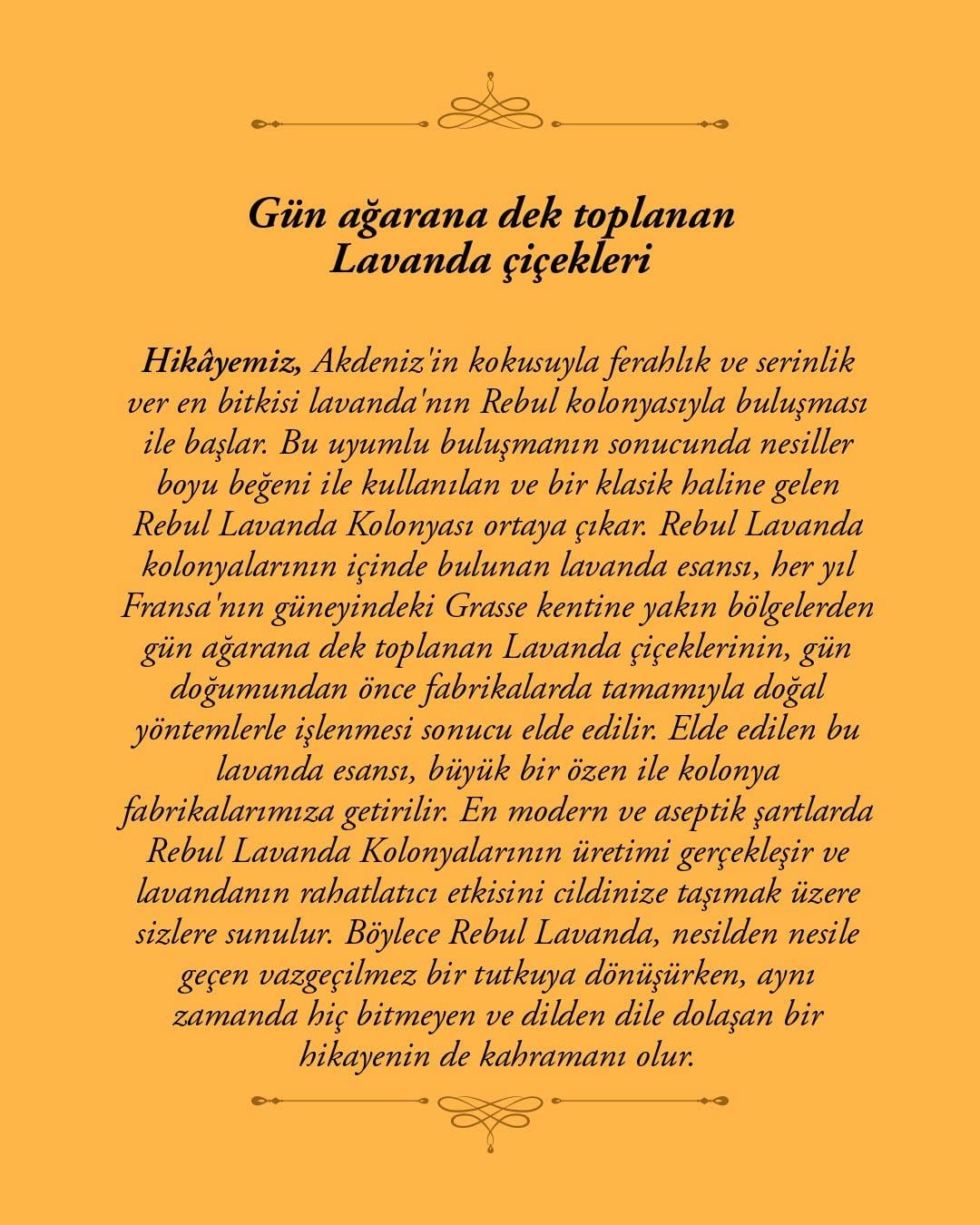 Rebul Lavanda EDC Kolonya 100 ml Cam Şişe