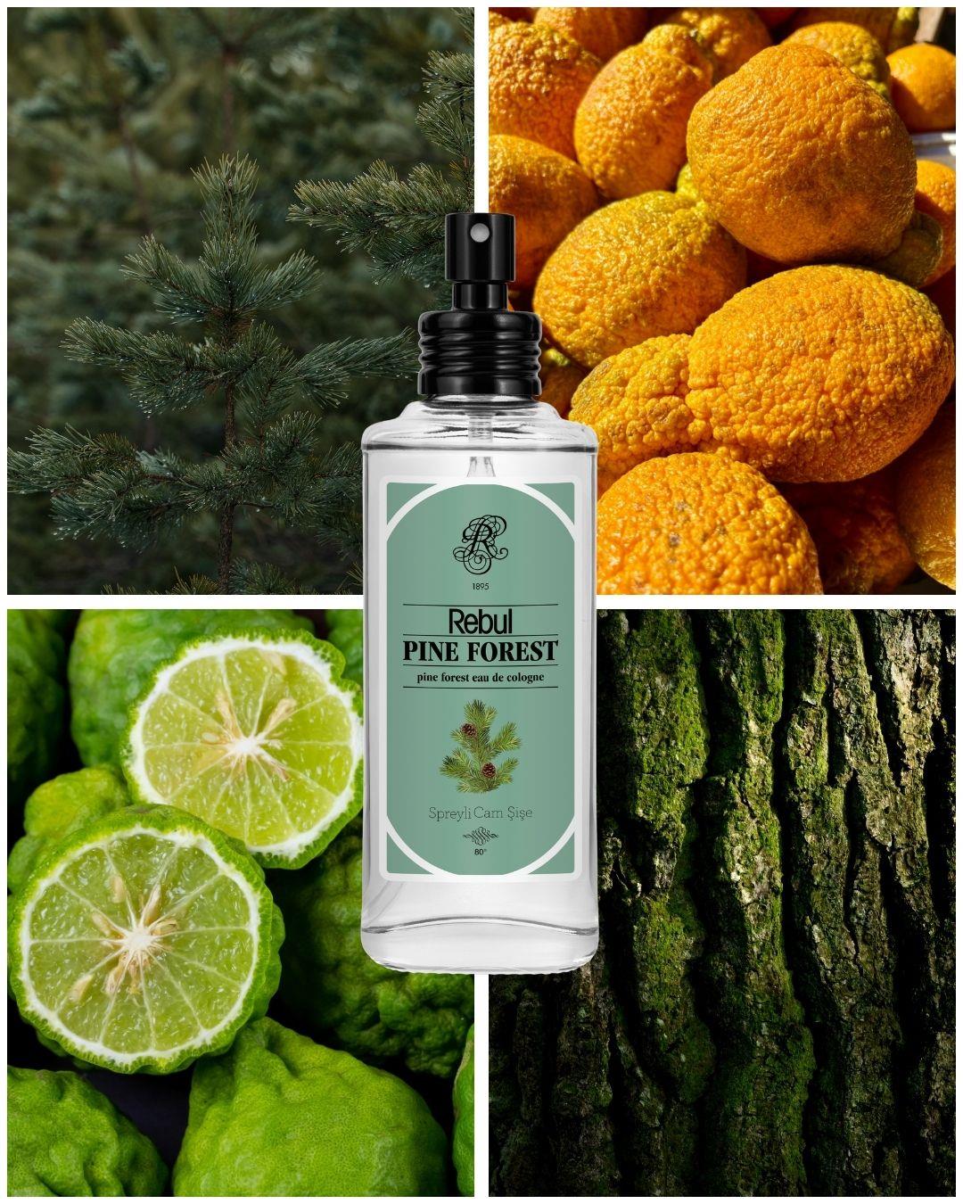 Rebul Pine Forest EDC Kolonya 100 ml Cam Şişe