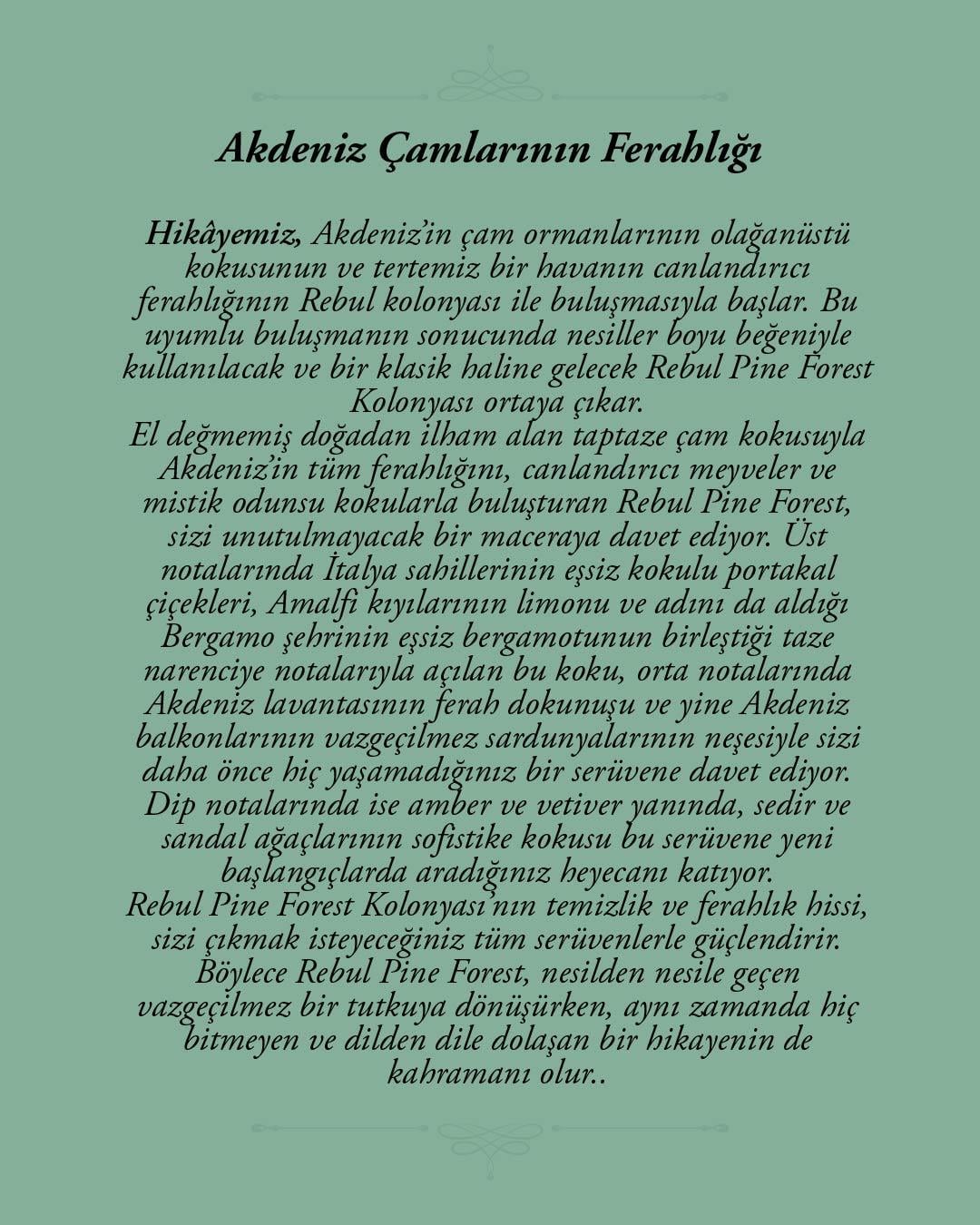 Rebul Pine Forest EDC Kolonya 50 ml Pet Şişe