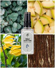 Rebul Azure Noir EDC Kolonya 50 ml Pet Şişe