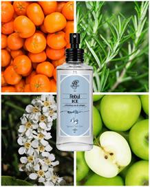Rebul Ice EDC Kolonya 100 ml Cam Şişe