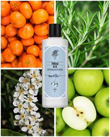 Rebul Ice EDC Kolonya 250 ml Cam Şişe