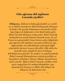 Rebul Lavanda EDC Kolonya 50 ml Pet Şişe