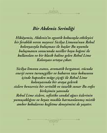Rebul Lime EDC Kolonya 125 ml Pet Şişe