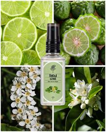Rebul Lime EDC Kolonya 50 ml Pet Şişe