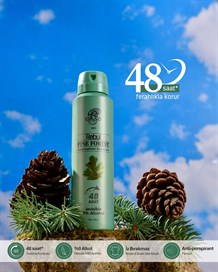 REBUL PINE FOREST 150 ML ERKEK DEODORANT