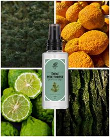 Rebul Pine Forest EDC Kolonya 125 ml Pet Şişe