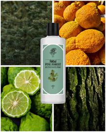 Rebul Pine Forest EDC Kolonya 250 ml 2li Set