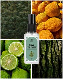 Rebul Pine Forest EDC Kolonya 50 ml Pet Şişe