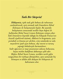 Rebul Sweet Lemon EDC Kolonya 50 ml Pet Şişe