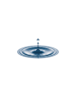 Aquatic
