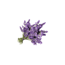 Aromatic