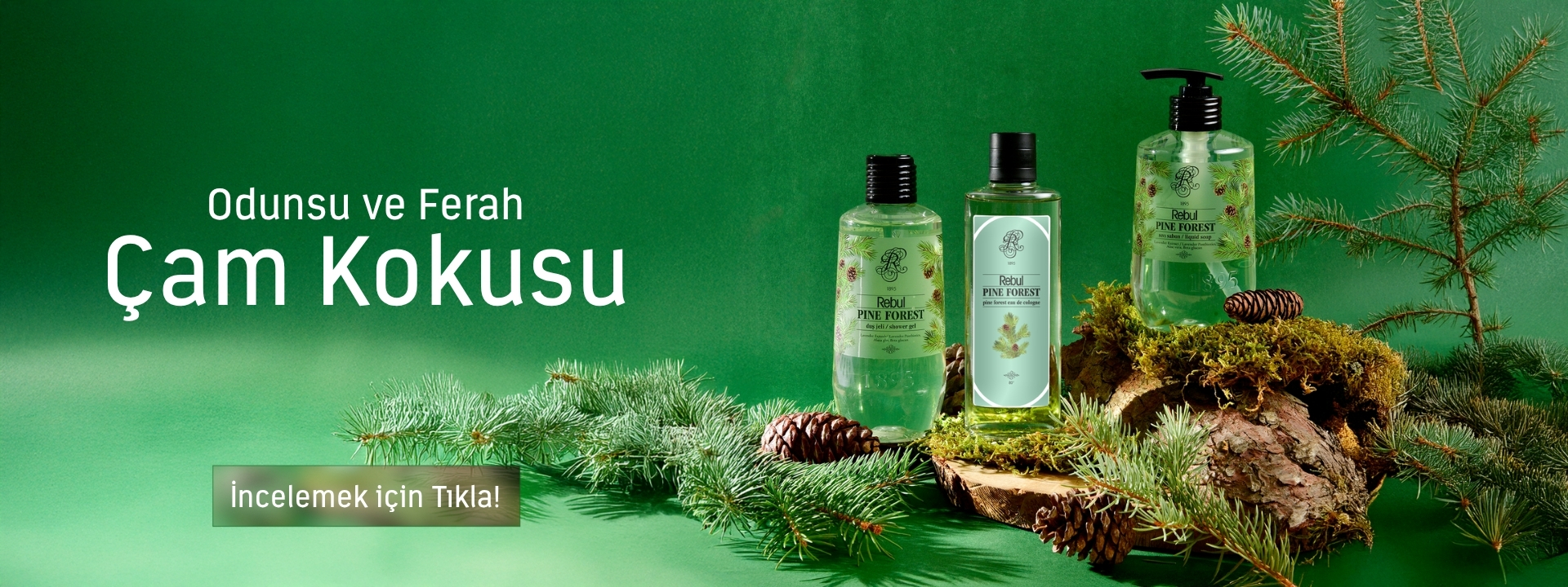 Rebul Pine Forest Serisi