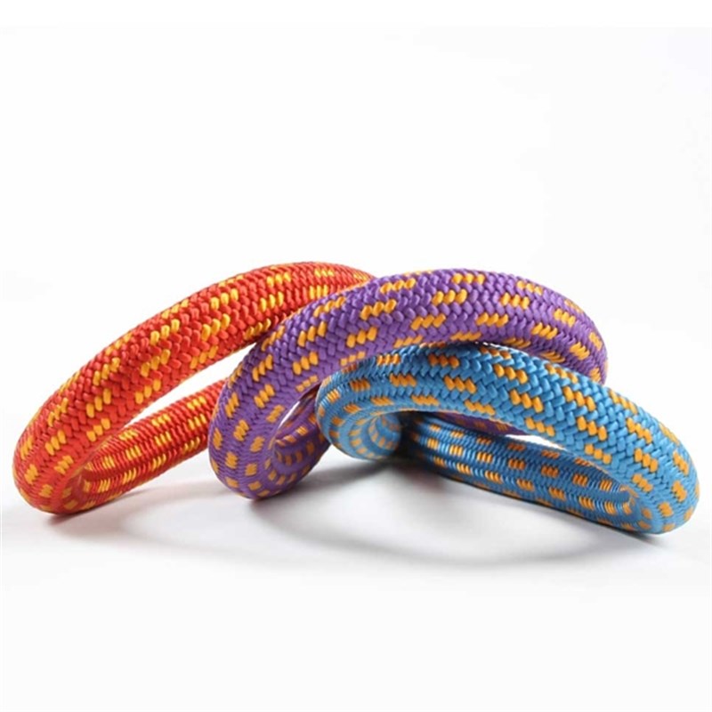 Edelweiss O-Flex Dinamik İp 10,2Mm X 60 Mt Mor  Co102.60