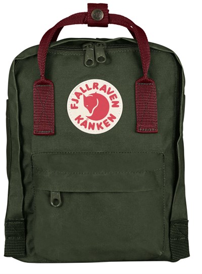 air travel with a backpack with aluminum stays 16