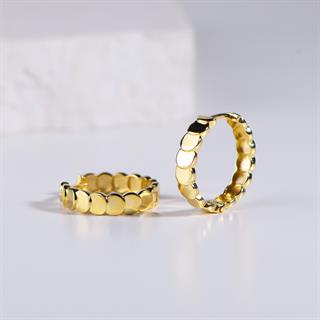 14 Ayar Altın Pul Halka Küpe