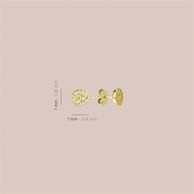 14 Ayar Kalp Taşlı Altın Küpe