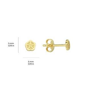 14 Ayar Minik Altın Küpe