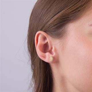 14 Ayar Altın Küpe