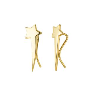 14 Ayar Kayan Yıldız Altın Küpe