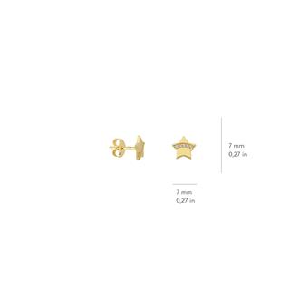 14 Ayar Altın Taşlı Yıldız Küpe