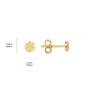 14 Ayar Altın Minik Kar Tanesi Küpe