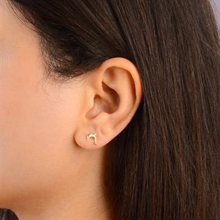 14 Ayar Altın Yunus Küpe