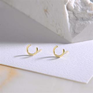 14 Ayar Altın Nal Şans Küpe