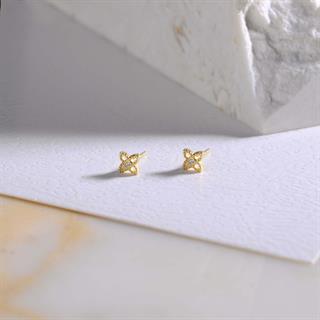 14 Ayar Altın Minik Taşlı Küpe