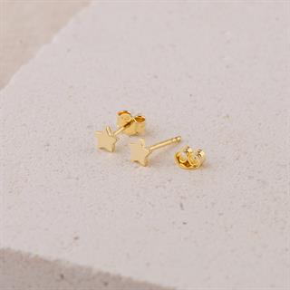14 Ayar Altın Minik Yıldız Küpe