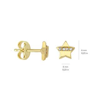 14 Ayar Altın Taşlı Yıldız Küpe