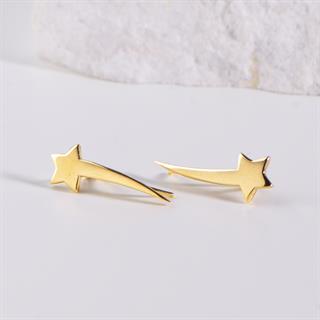 14 Ayar Kayan Yıldız Altın Küpe