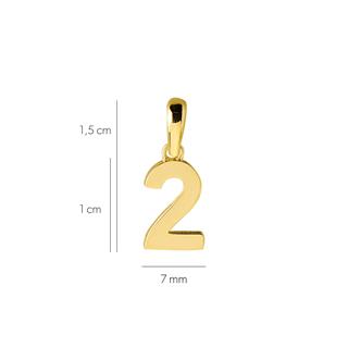 14 Ayar İki Rakamı Altın Kolye Ucu