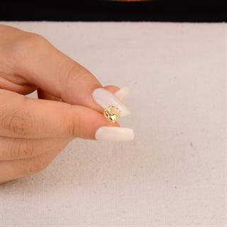 14 Ayar Altın Deniz Kabuğu Küpe