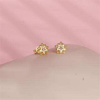 14 Ayar Altın Yıldız Küpe