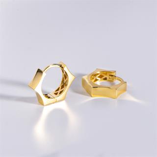 14 Ayar İtalyan Yıldız Altın Küpe