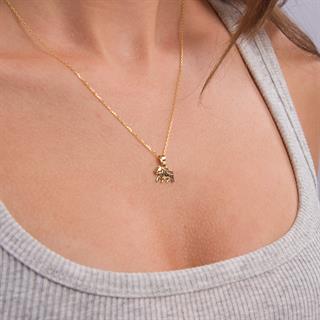 14 Ayar Altın Aslan Burç Kolye Ucu