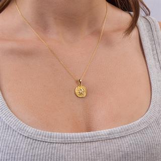 14 Ayar Altın Kova Burç Kolye Ucu