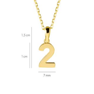 14 Ayar İki Rakamı Altın Kolye