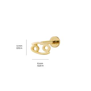 Yengeç Burç Piercing