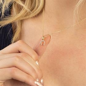 14 Ayar Altın Taşlı Nal Şans Kolye