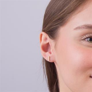 14 Ayar Altın Çubuk Taşlı Küpe