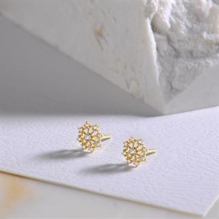 14 Ayar Taşlı Kar Tanesi Altın Küpe