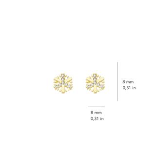 14 Ayar Altın Taşlı Kartanesi Küpe