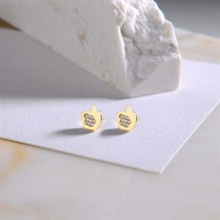 14 Ayar Taşlı Nar Altın Küpe