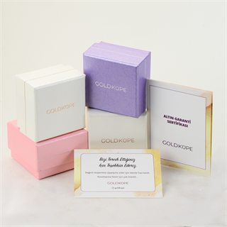 14 Ayar Sade Tek Halka Altın Küpe