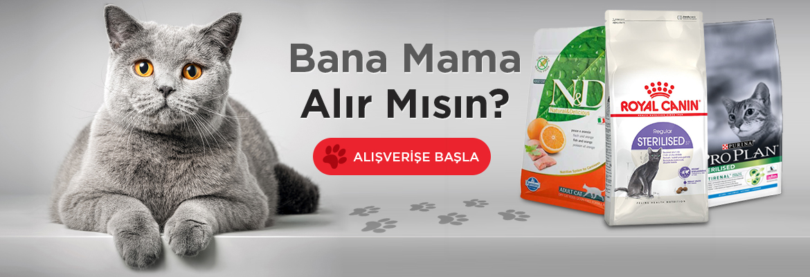 Kedi Maması