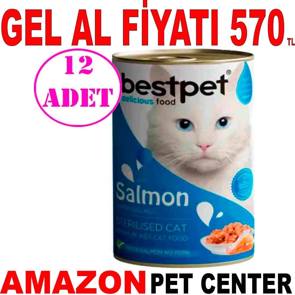 Best Pet Somonlu Kısırlaştırılmış Kedi Konservesi 400 Gr 12 AD Gel Al 18078008 Amazon Pet Center