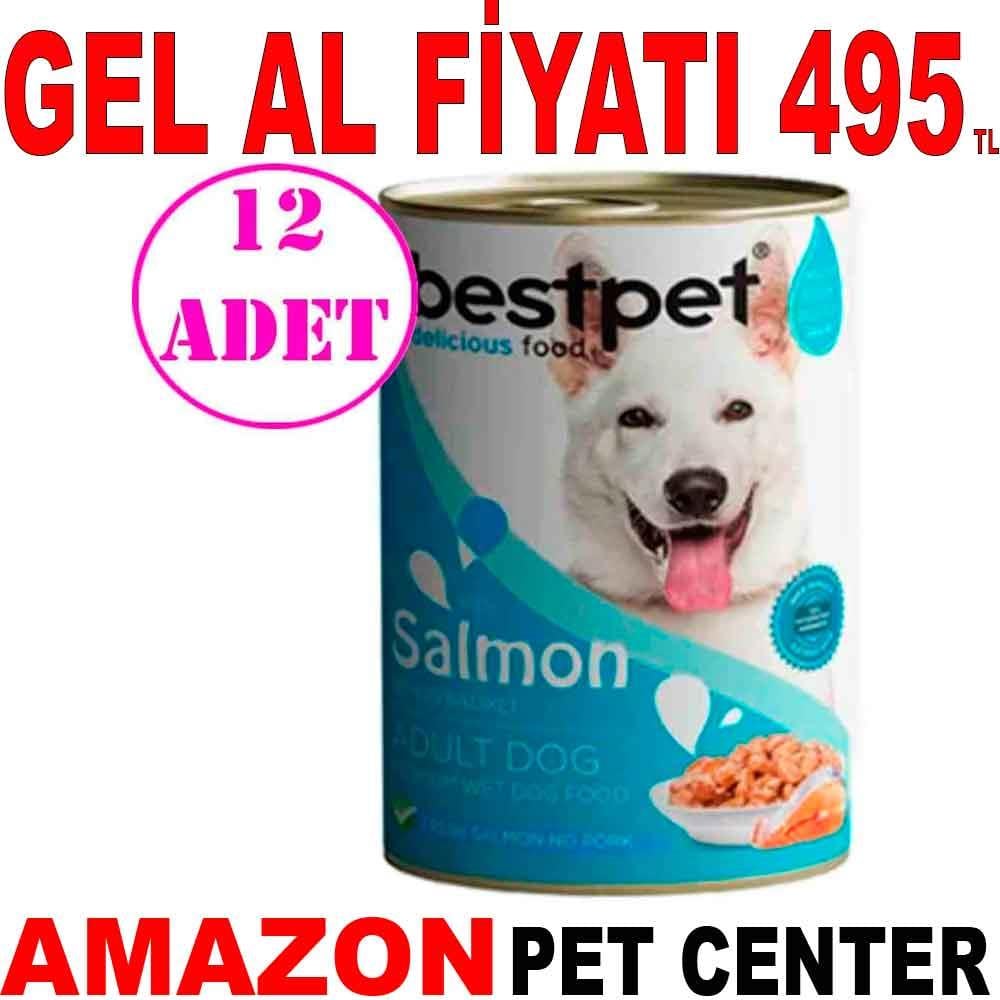Best Pet Somonlu Köpek Konservesi 400 Gr 12 AD Gel Al 18090000 Amazon Pet Center