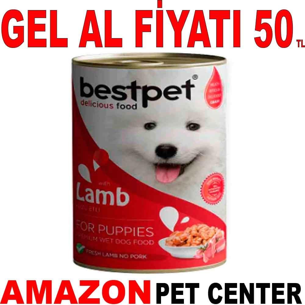 Best Pet Yavru Köpek Konservesi Kuzu Etli 400 Gr 21646003 Amazon Pet Center